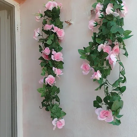 студио свежест * Поморие