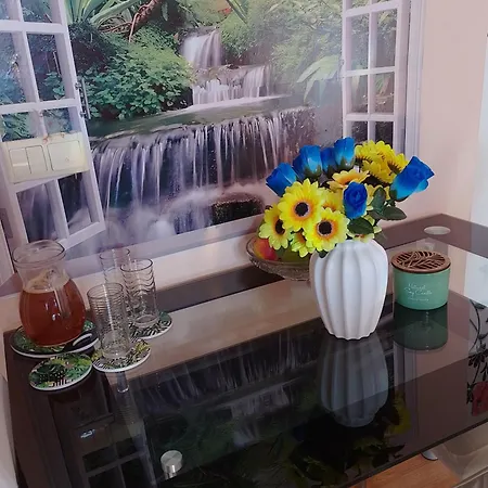 студио свежест *