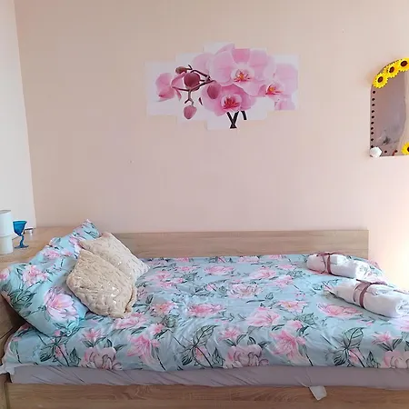 студио свежест