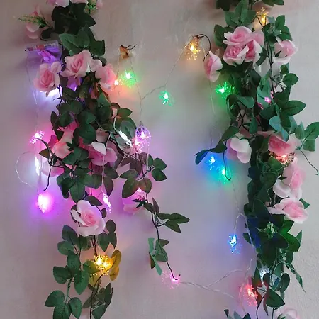 студио свежест Апартаменты Поморие