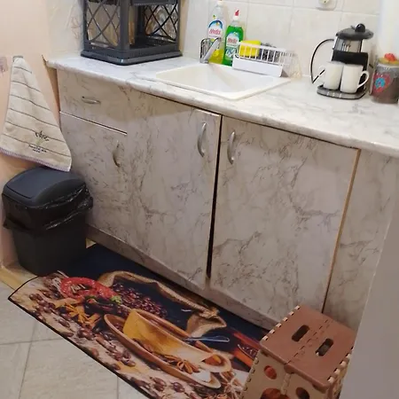 Daire студио свежест