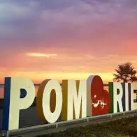 Daire студио свежест *