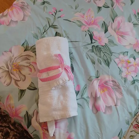 студио свежест Ahyolu