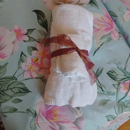 Daire студио свежест