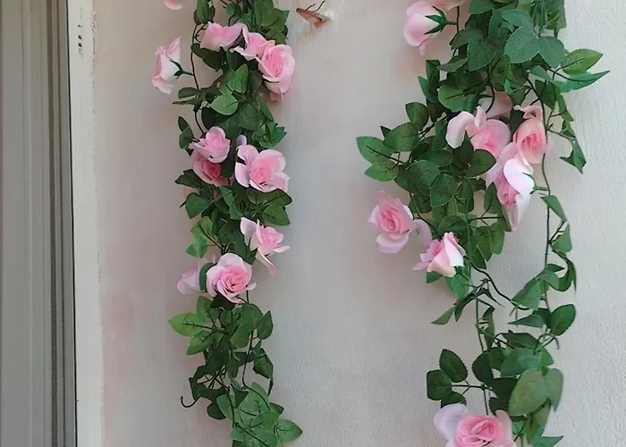 студио свежест * Pomorie