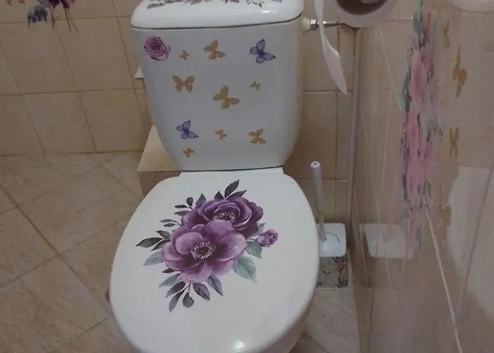 студио свежест